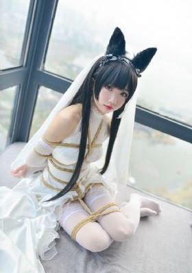 电视剧情满四合院
